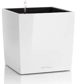 CUBE - Weiss