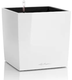 CUBE - Weiss