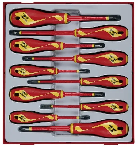 Teng Tools Schraubendrehersatz 1000V TTDV910N mit 10 Teilen